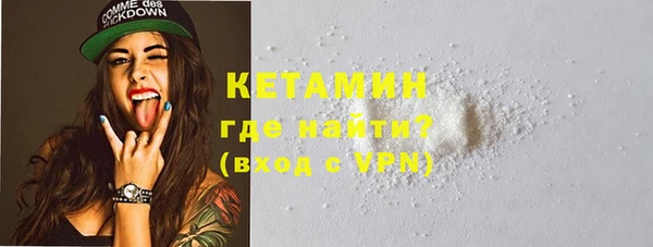 сатива Верея
