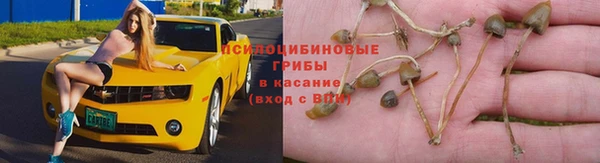 герыч Бородино
