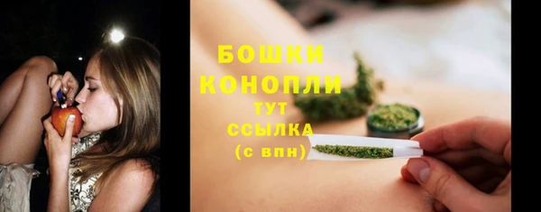 сатива Верея