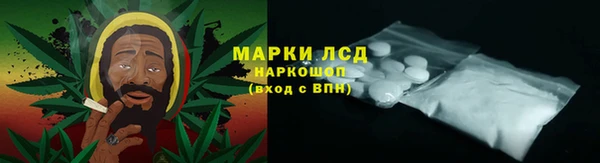 сатива Верея