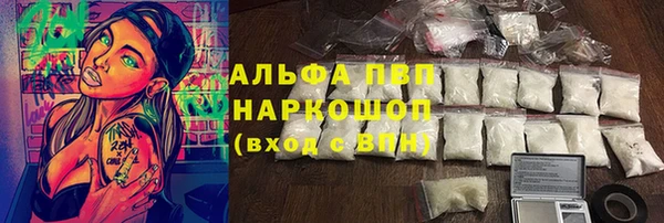 сатива Верея