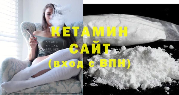 сатива Верея
