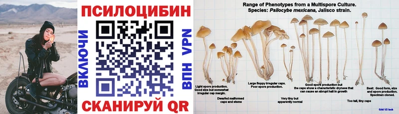дарнет шоп  Кочубеевское  дарк нет состав  Галлюциногенные грибы MAGIC MUSHROOMS 